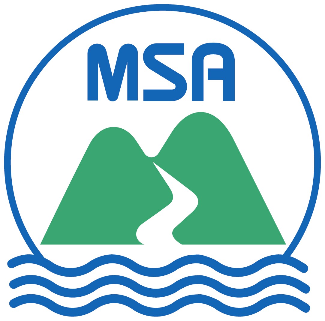 MSA 認証マーク